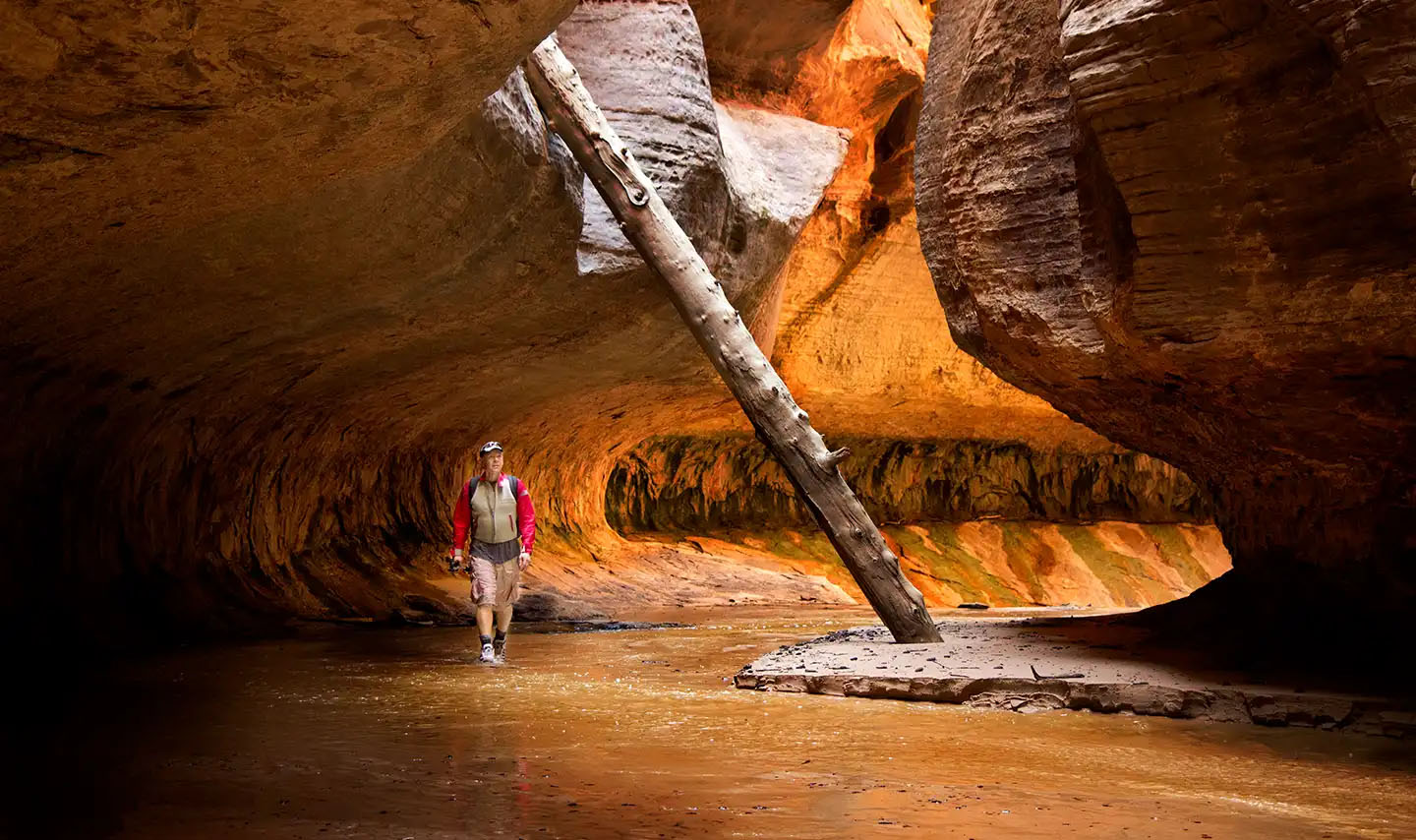 Zion National Park